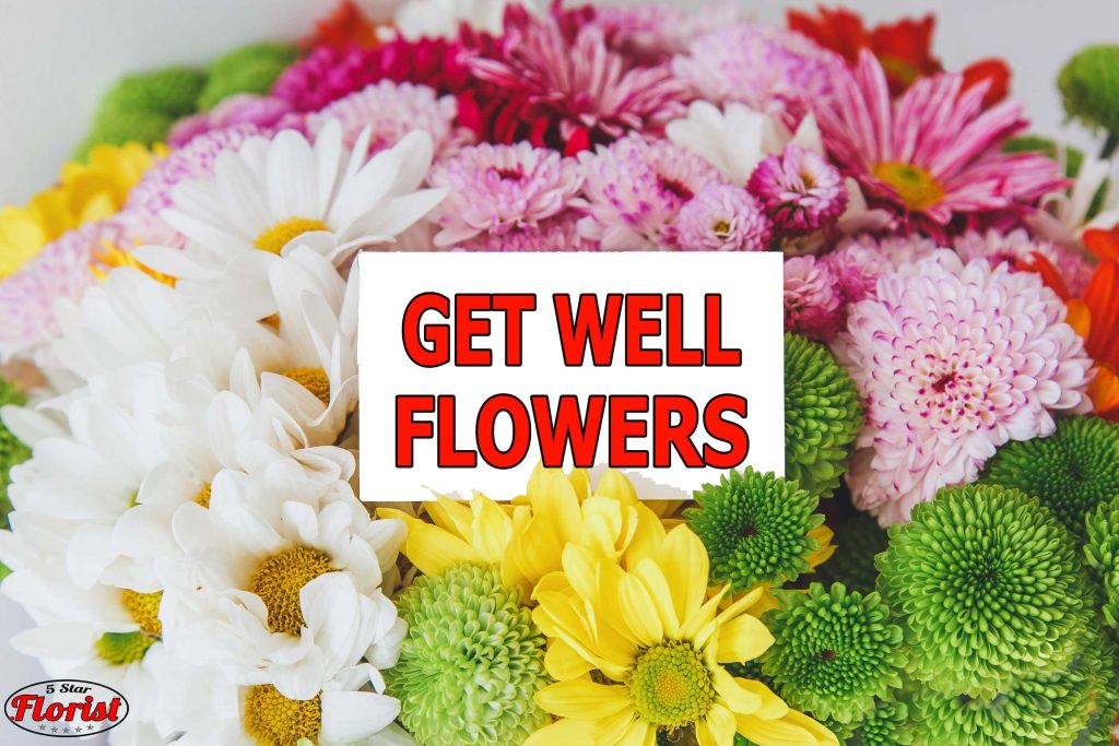 get well flowers Knoxville